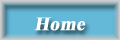 The Home page of the Qatari Diwan Amiri Information Administration